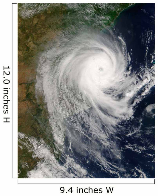 Tropical Cyclone Favio over Wall Decal
