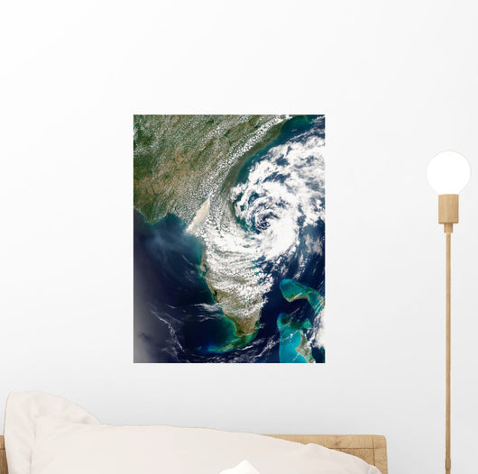 Fires and Smoke Georgia Wall Decal