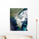 Fires and Smoke Georgia Wall Decal
