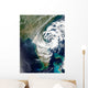 Fires and Smoke Georgia Wall Decal