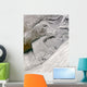 Cloud Streets off New Wall Decal