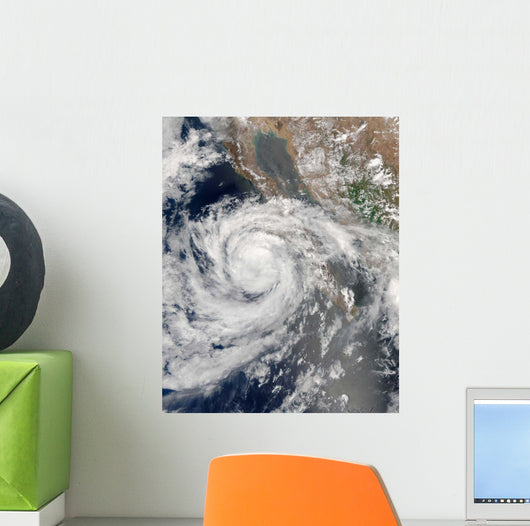 Tropical Storm Emilia Wall Decal
