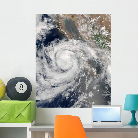 Tropical Storm Emilia Wall Decal