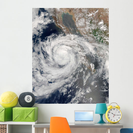 Tropical Storm Emilia Wall Decal