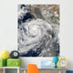 Tropical Storm Emilia Wall Decal