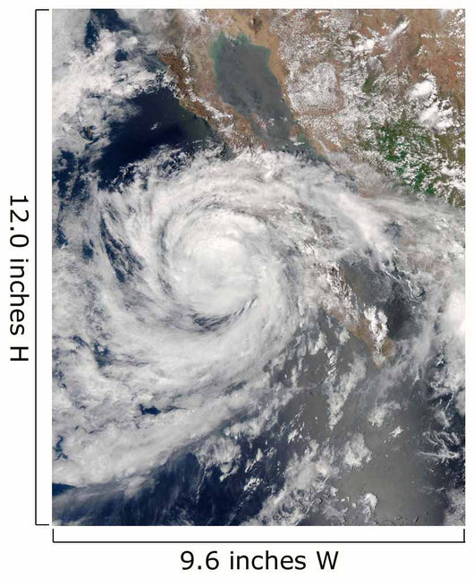 Tropical Storm Emilia Wall Decal