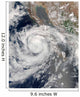 Tropical Storm Emilia Wall Decal