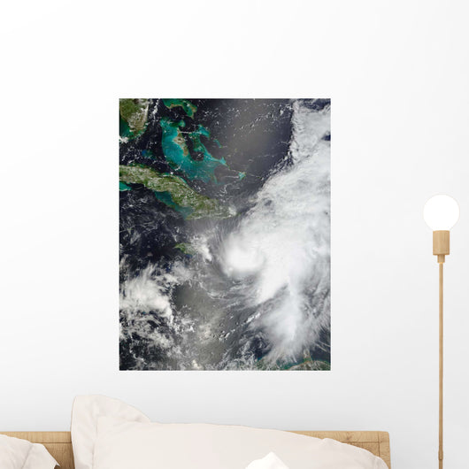 Hurricane Ernesto Wall Decal