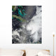 Hurricane Ernesto Wall Decal