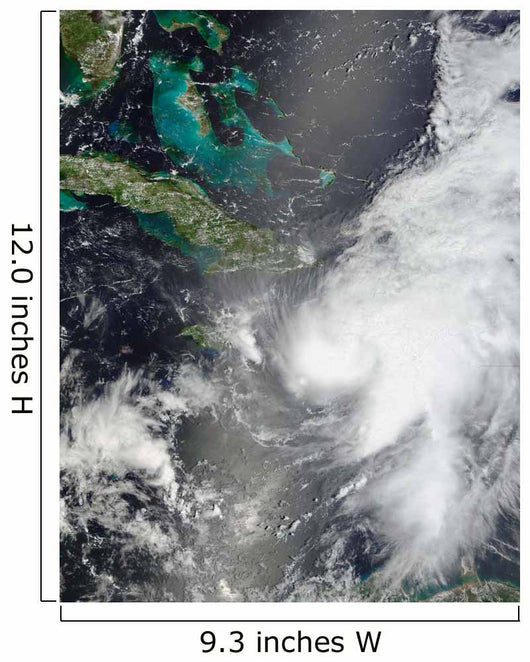 Hurricane Ernesto Wall Decal