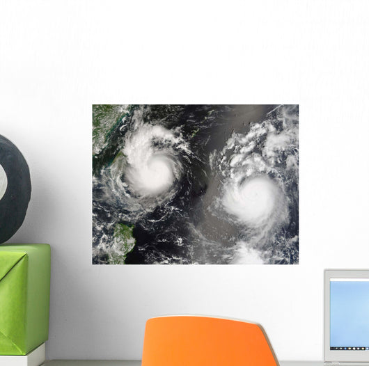 Typhoon Saomai and Tropical Wall Decal