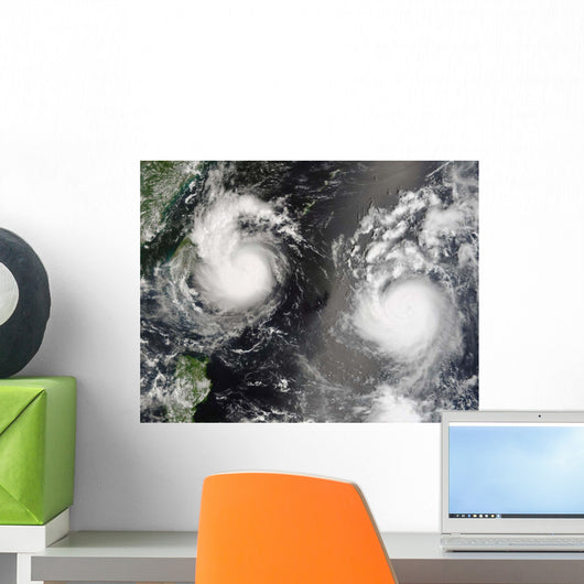 Typhoon Saomai and Tropical Wall Decal