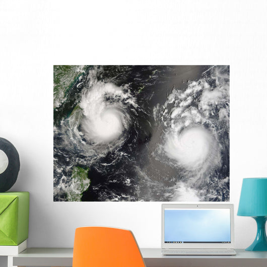 Typhoon Saomai and Tropical Wall Decal