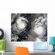 Typhoon Saomai and Tropical Wall Decal