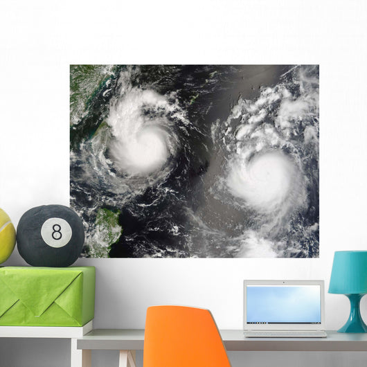 Typhoon Saomai and Tropical Wall Decal