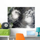 Typhoon Saomai and Tropical Wall Decal