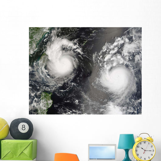 Typhoon Saomai and Tropical Wall Decal