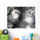 Typhoon Saomai and Tropical Wall Decal