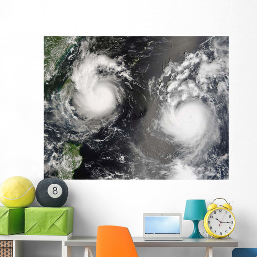 Typhoon Saomai and Tropical Wall Decal