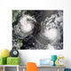 Typhoon Saomai and Tropical Wall Decal