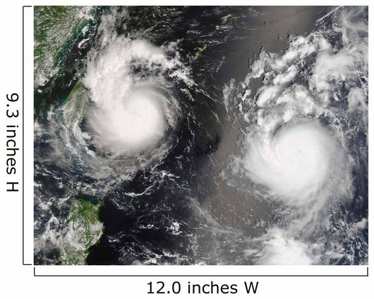 Typhoon Saomai and Tropical Wall Decal