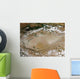 Dust Storm Taklimakan Desert Wall Decal
