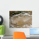 Dust Storm Taklimakan Desert Wall Decal