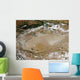 Dust Storm Taklimakan Desert Wall Decal