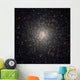 Globular Cluster Ngc 2808 Wall Decal