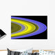 False-color Image Saturn's Rings Wall Decal