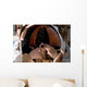 Astronaut Uses Digital Still Wall Decal Design 2