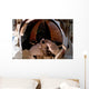 Astronaut Uses Digital Still Wall Decal Design 2