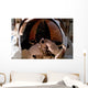 Astronaut Uses Digital Still Wall Decal Design 2