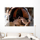 Astronaut Uses Digital Still Wall Decal Design 2