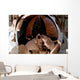 Astronaut Uses Digital Still Wall Decal Design 2