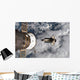Space Shuttle Atlantis and Wall Decal Design 2