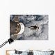 Space Shuttle Atlantis and Wall Decal Design 2