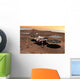 Phoenix Mars Lander Wall Decal Design 1