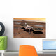 Phoenix Mars Lander Wall Decal Design 1