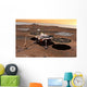 Phoenix Mars Lander Wall Decal Design 1