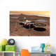 Phoenix Mars Lander Wall Decal Design 1