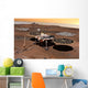 Phoenix Mars Lander Wall Decal Design 1