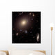 Giant Elliptical Galaxy and Wall Decal