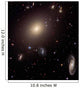 Giant Elliptical Galaxy and Wall Decal