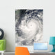 Super Typhoon Man-yi Wall Decal
