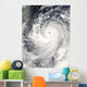Super Typhoon Man-yi Wall Decal