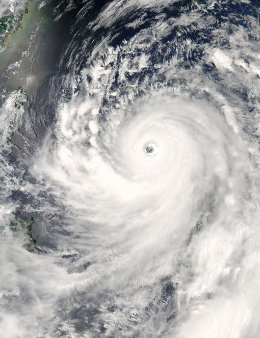 Super Typhoon Man-yi Wall Decal