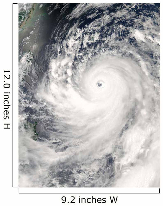 Super Typhoon Man-yi Wall Decal