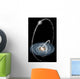 Three Newly-discovered Streams Arcing Wall Decal