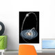 Three Newly-discovered Streams Arcing Wall Decal